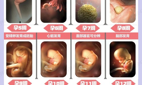 怀孕初期吃了4次酸辣粉