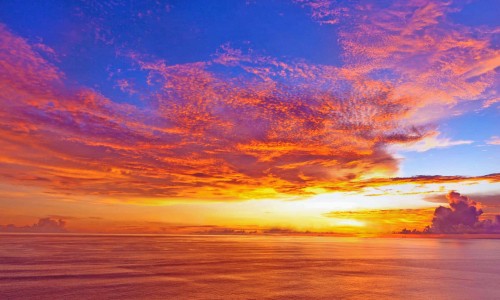 权威宝宝20天黄疸值多少正常平台,分享专业宝宝20天一天拉几次正常知识_宝宝20天长了多少正常网